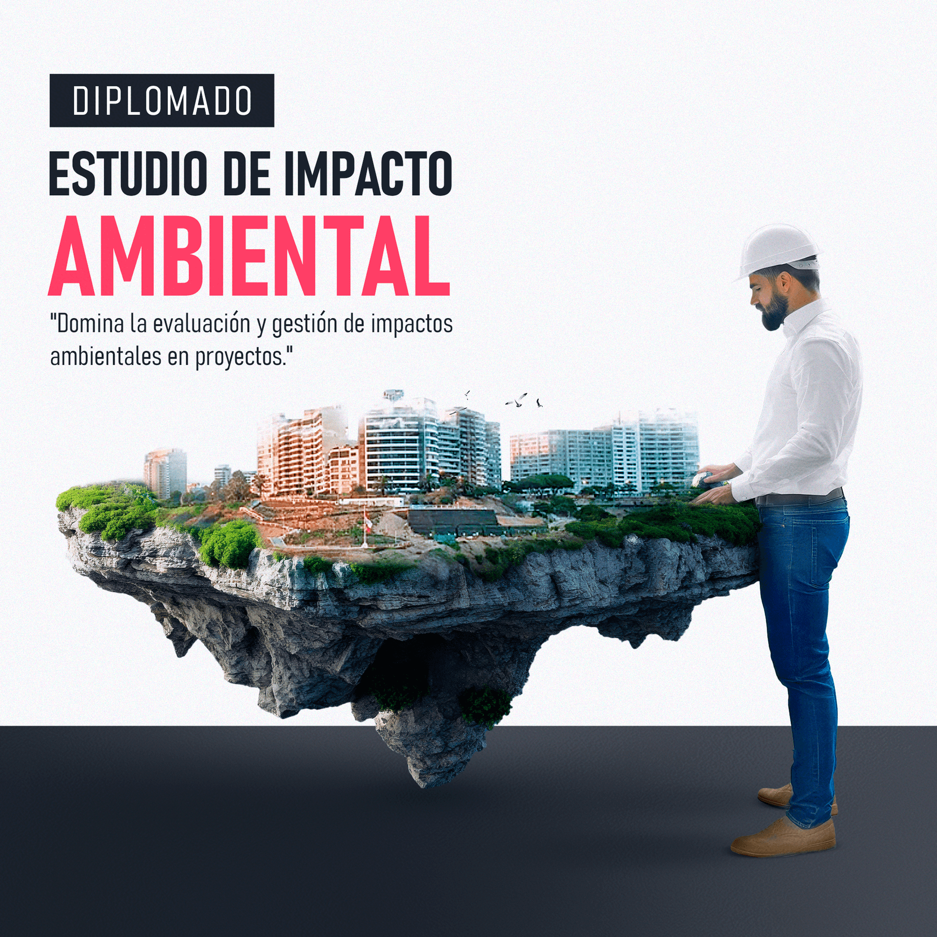 ESTUDIO DE IMPACTO AMBIENTAL