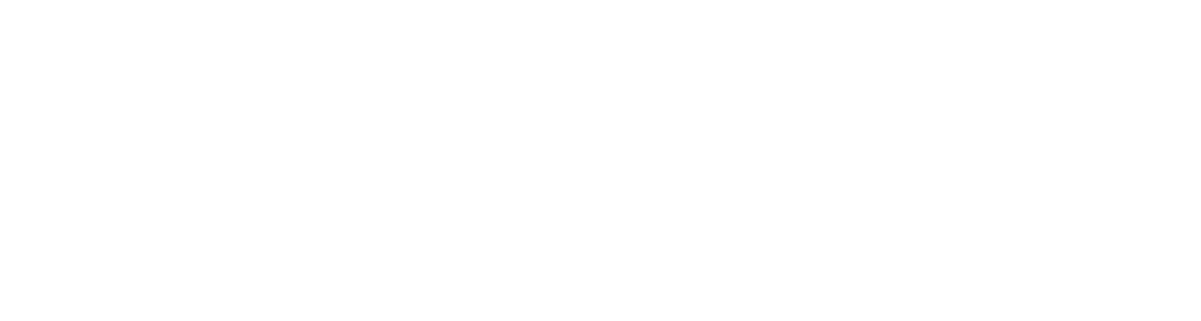 logo_promas